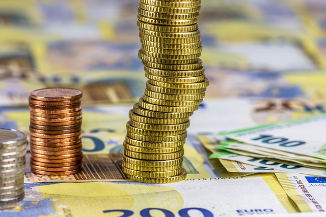 cizí finance